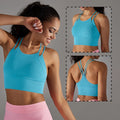 Vnazvnasi Seamless Underwear High Quality Sport Bra - VibrantFlex  VibrantFlex