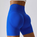 Workout Shorts Running Fitness Sports Short Gym Clothing High Waist Yoga Shorts - VibrantFlex  VibrantFlex