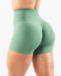 High Waist Amplify Seamless Shorts Women Scrunch Butt Yoga - VibrantFlex  VibrantFlex