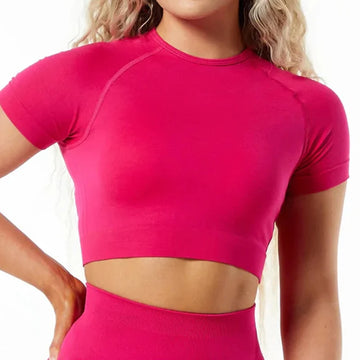 Women's Seamless Yoga Shirts Short Sleeve T-shirt For Fitness Crop Top S - VibrantFlex  VibrantFlex