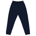 No Pain No Gain Unisex Joggers - VibrantFlex  VibrantFlex